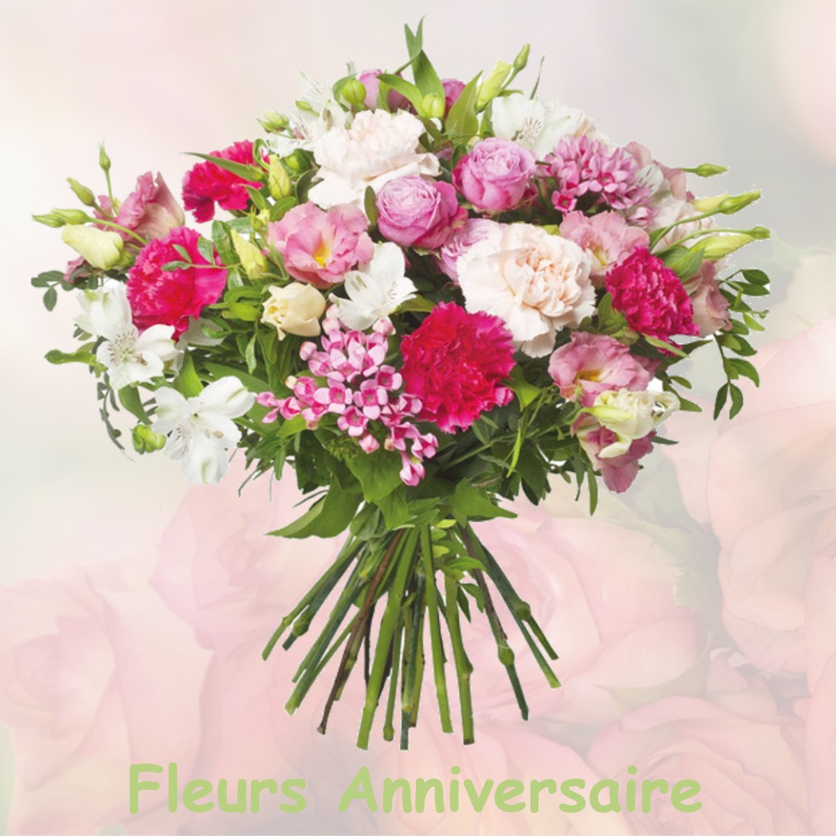 fleurs anniversaire SALLENOVES